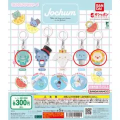 JOCHUM めじるしアクセサリー1 ヤヌカミ マイクン Bira 3点セット