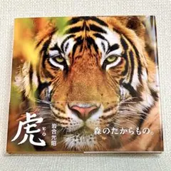 虎 とら 岩合光昭 トラ 森のたからもの 写真集 本 猫科 自然 動物 アニマル