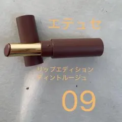 エテュセ リップエディション ティントルージュ 09のサムネイル