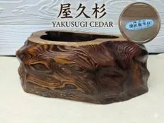 Y【中古】希少！ 世界遺産 屋久杉 天然木 花台 花器 工芸品 オブジェのサムネイル