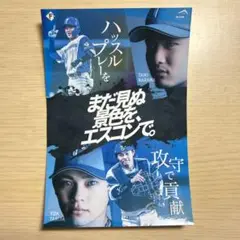 北海道日本ハムファイターズ 田宮裕涼 奈良間大己 ステッカー