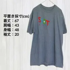 ロゴ入り グレー Tシャツ 半袖 プリント クルーネック ヴィンテージ 古着