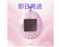 キッズケータイpapipo! たまごっち・ドラゴンブラック2セット 携帯PHS