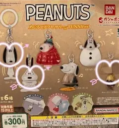 PEANUTS めじるしアクセサリー FUNNY ver.3個セット