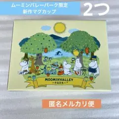 新品、ムーミンバレーパーク限定　 アラビアマグカップ　2つ