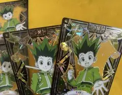 HUNTER × HUNTER ゴン 中国限定 アクリルカード 2種セット