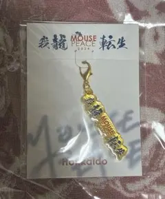 上田竜也 我龍転生 北海道 キーホルダー チャーム