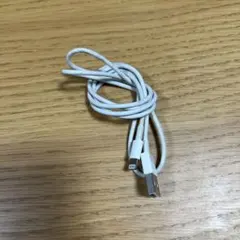 iPhone 純正 Lightningケーブル USB-A