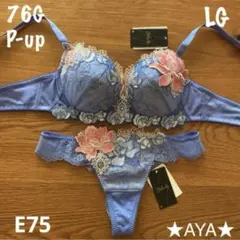 2026年最新】サルート 76の人気アイテム - メルカリ