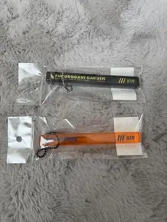 ハイキュー　キーホルダー2点セット
