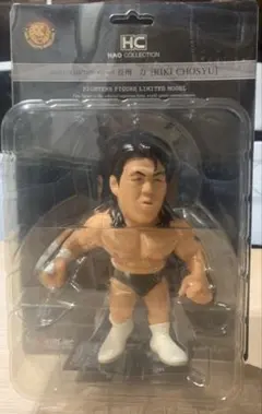 2025年最新】長州力 HAOの人気アイテム - メルカリ