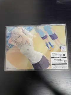 2026年最新】ロシデレ アクリルプレートの人気アイテム - メルカリ