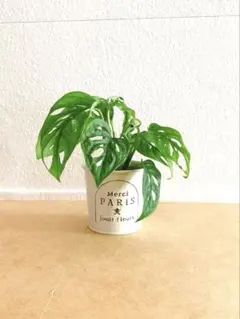 Bree様 リクエスト 3点 まとめ商品