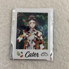 ツイステ展　ランダムカードコレクション　ケイト