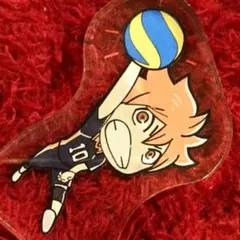 ハイキュー アクリルプレート 日向翔陽