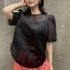 25SS アメリ トップス パフスリーブ SHEER CARDBOARDのサムネイル