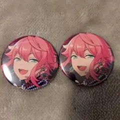 あんさんぶるスターズ！！ 缶バッジ 姫宮桃李 2個セット
