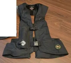 Item thumbnail for item 2ead0495-cfa8-44a3-ac18-58fd39f522a4