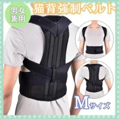 Item thumbnail for item 54bc0a6f-07c1-4b18-b997-5b83a9c6a3e2