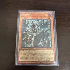 2026年最新】血樹竜姫ドラセレア シークレットの人気アイテム - メルカリ