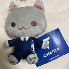 SEVENTEEN ミンギュをモデルにしたぬいぐるみ - メルカリ