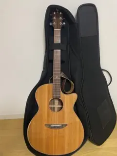 2026年最新】Dct ギターの人気アイテム - メルカリ