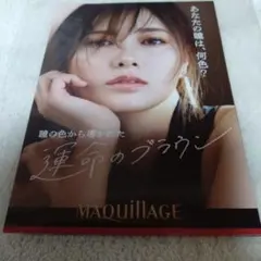 販促 資生堂 白石麻衣 マキアージュ B1 ポスター MAQuillAGE - メルカリ