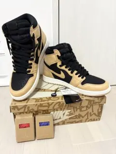 エアジョーダン1 レトロ ハイ OG　バケッタタン