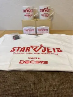 千葉ジェッツ STAR JETS Tシャツ マグカップ キーホルダーセット