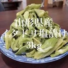 山形県産 イタドリ塩漬け　3kg(1kg×3袋) 山菜　野菜　塩蔵のサムネイル