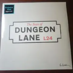 ポールマッカートニー 限定シルバーLP 銀 - メルカリ
