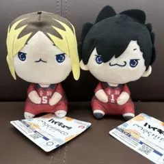 ハイキュー 孤爪研磨 黒尾鉄朗 もちぴこぬいぐるみ 2種 音駒 マスコット