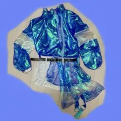 Item thumbnail for item 95726091-8f92-4329-a8cb-4acc57343ed9