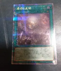 きじ様 リクエスト 2点 まとめ商品