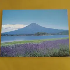 Item thumbnail for item 2d8bdbab-1e34-4ba6-86d4-79cd8620c678