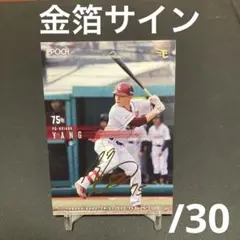 2026 EPOCH 楽天イーグル　陽 柏翔　金箔サインカード