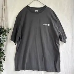 COBMASTER ピグメントマウンテンTシャツ L チャコール