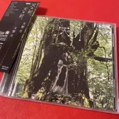 天野月 天の樹