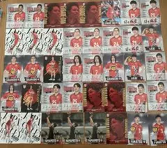 男子バレーボール日本代表 トレカ 2024 まとめ売り