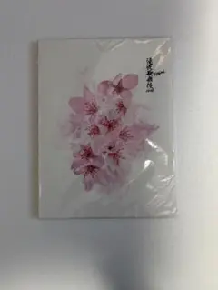 SnowMan 滝沢歌舞伎ZERO FINAL パンフレット