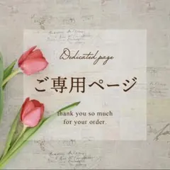 Sayat様 リクエスト 2点 まとめ商品