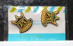 2025年最新】嵐 風景 ピンバッジの人気アイテム - メルカリ