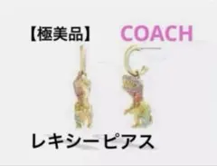 希少 完売 ほぼ未使用】 coach スケルタル レキシー ハギー ピアス 