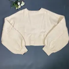 Item thumbnail for item 4bad25a2-7225-4e59-8444-db16aecdc602