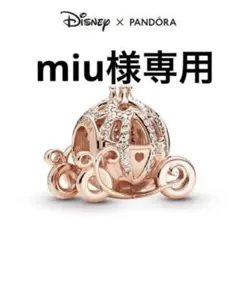 miu様 リクエスト 2点まとめ商品