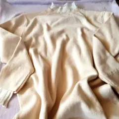 Item thumbnail for item 9cb99db4-ecfc-4723-9abd-2fdbbd61805d