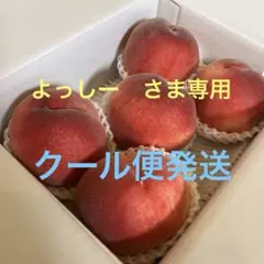 山梨一宮から収穫しためっちゃ甘くて美味い 超特大サイズを5個詰めて
