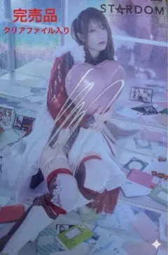 スターダム 鹿島沙希 直筆サイン & キスマーク入り 写真集 EMBLEM 鹿島沙希 直筆サイン入り ポートレートセット – 闘道館