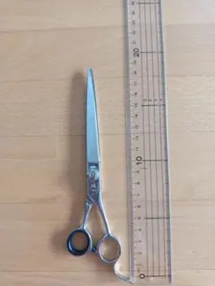 Item thumbnail for item b24dd7eb-891e-483b-bf78-45c7c80385b7