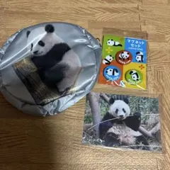 2026年最新】上野動物園 シャンシャン キーホルダーの人気アイテム